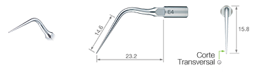 Endodontics/E4 -varios