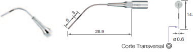 Perio (Irrigation And Cleanling)/P40 -varios